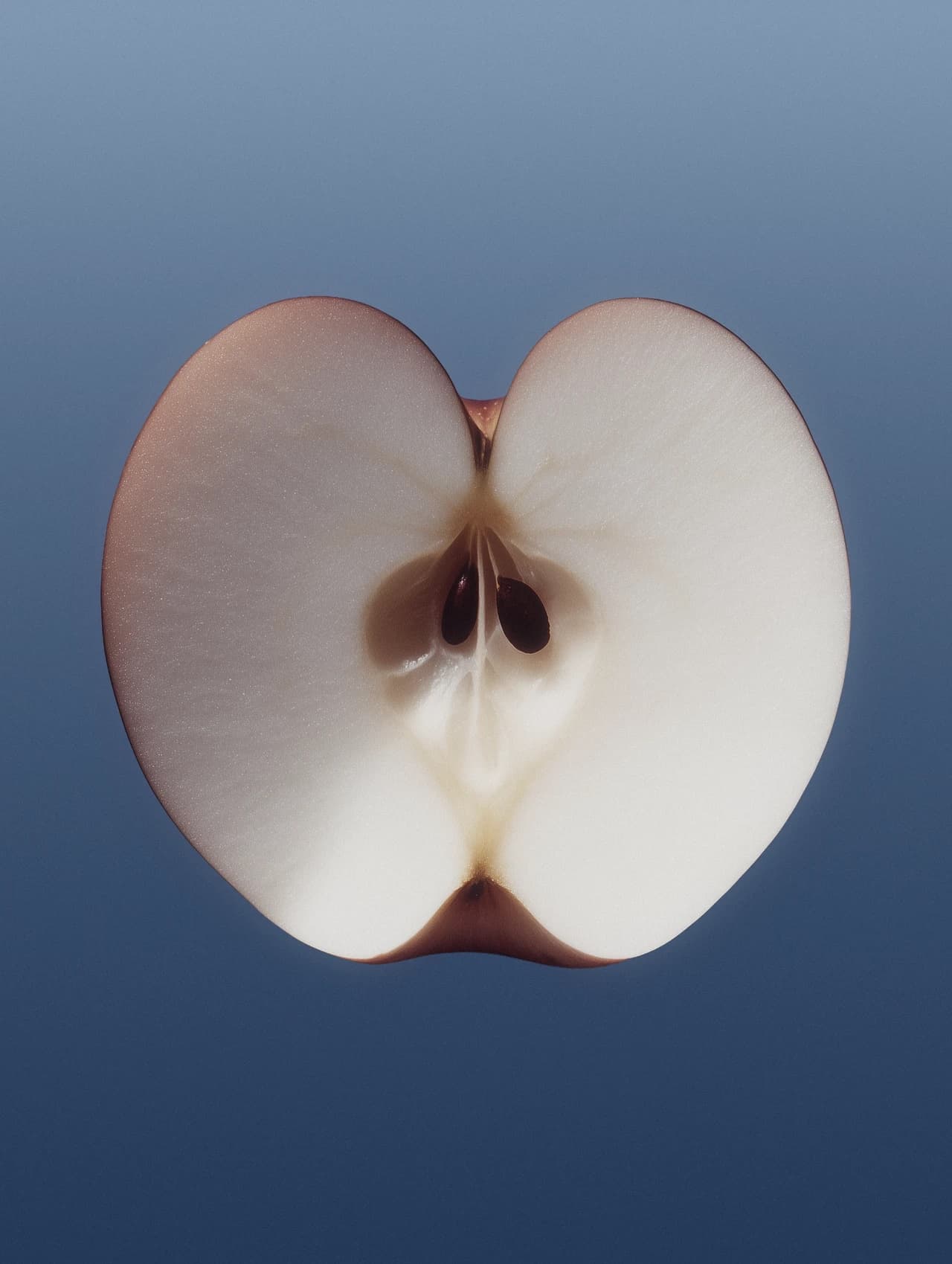 One half of an apple, lit from behind, the missing half implied.